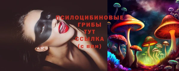 альфа пвп Беломорск