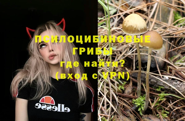альфа пвп Беломорск