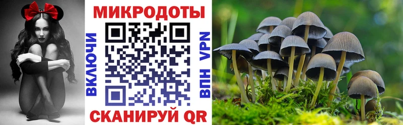 Псилоцибиновые грибы Magic Shrooms  где можно купить   MEGA маркетплейс  Шуя 
